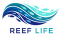 Translation missing: en.Reef life  accessibility.home